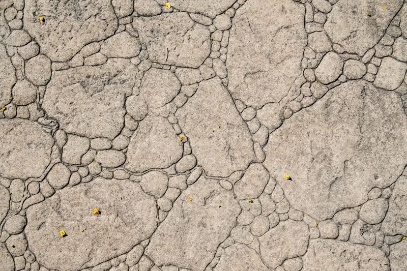 Decorative Concrete Repair in Newnan, GA